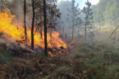 Besne požari na severu Španije: Izgorelo više od 20.000 hektara šume (VIDEO)