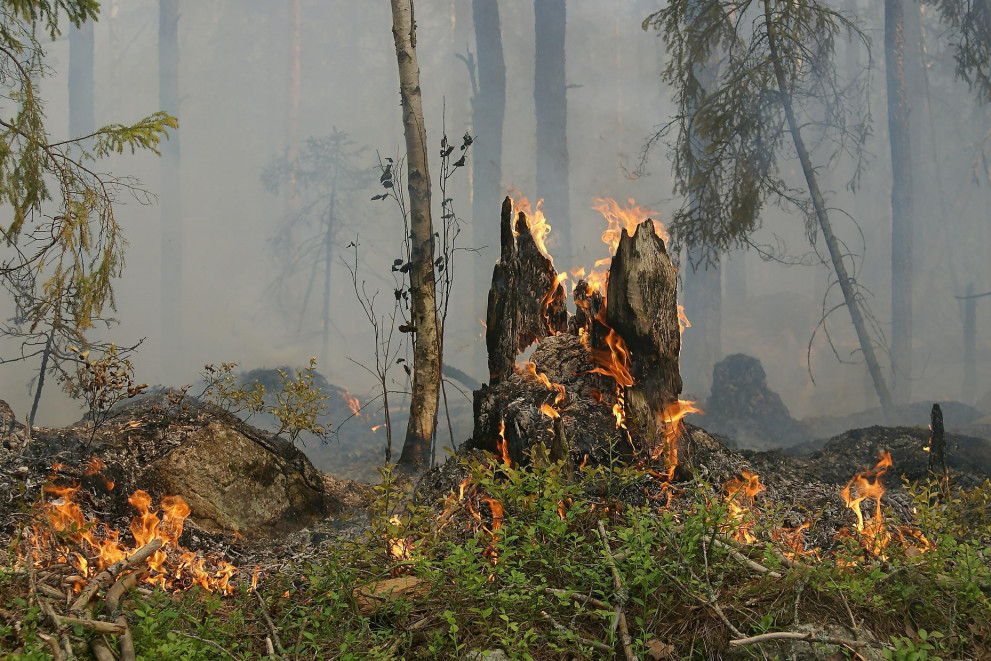 Lokalizovani požari na Divčibarama, kod Negotina i Kraljeva