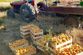 Poljoprivrednici odgovorili na predlog Vlade Srbije: Blokade puteva se obustavljaju