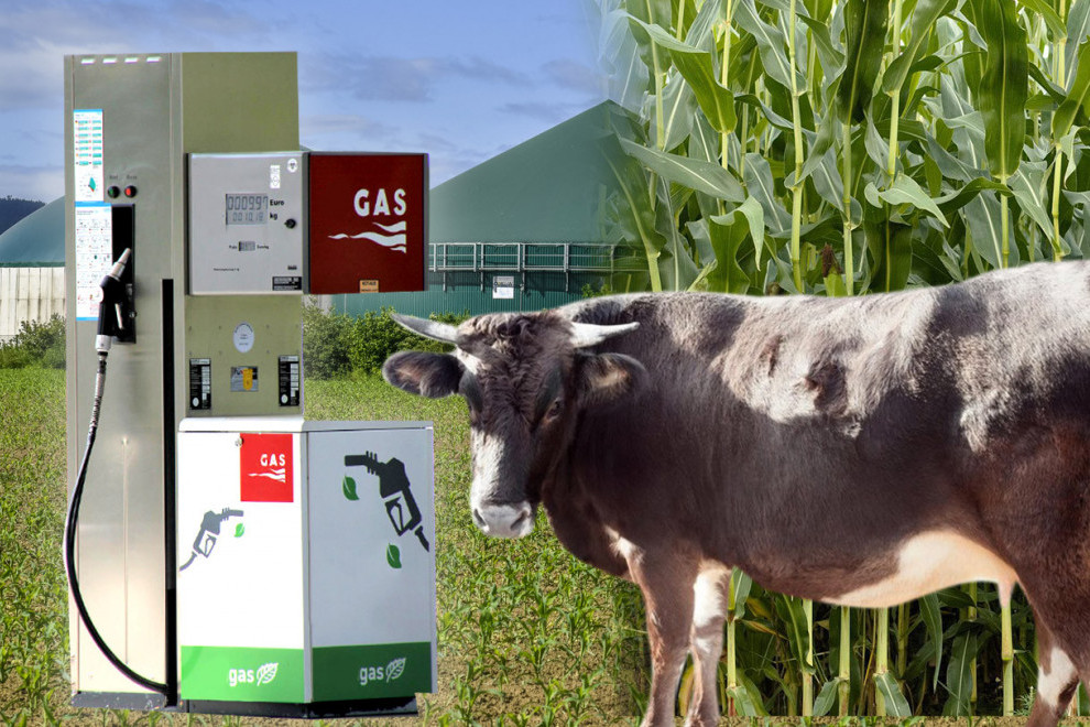 Biogasna postrojenja, velika šansa agrarne Srbije