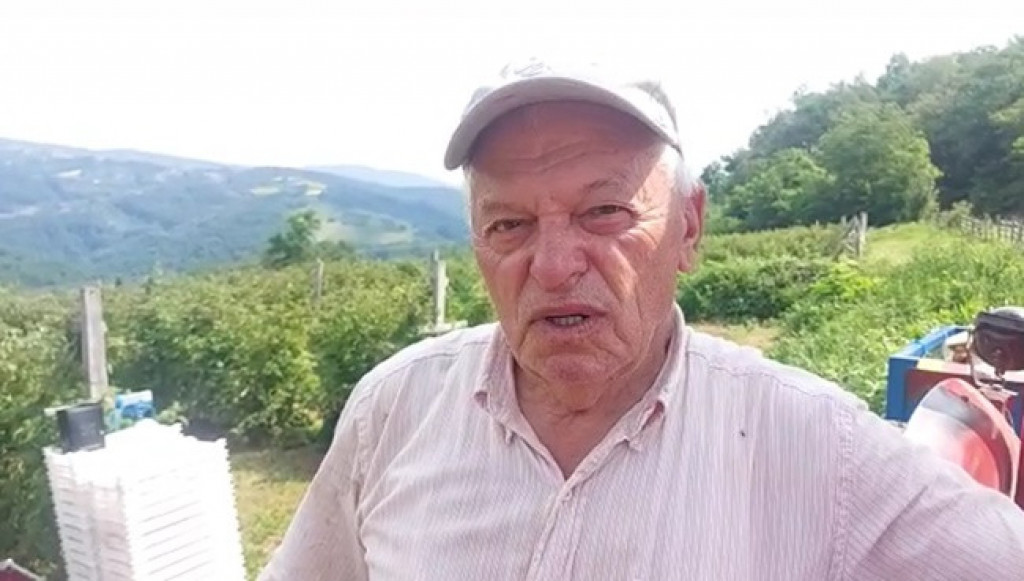 Malinari zadovoljni: Em je cena 600 dinara po kilogramu, em rodila malina! (FOTO)