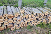 Sramotna krađa u Valjevu: Isekao drva za zimu, a lopovi su došli i pokrali ga