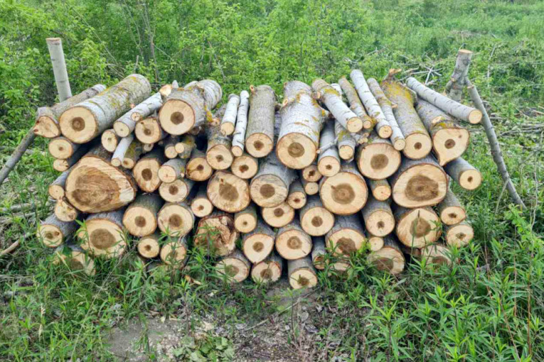 Meštani rudničkog sela Vojkovci zabrinuti: Kamioni pretovareni drvima uništavaju im nov asfalt koji su decenijama čekali