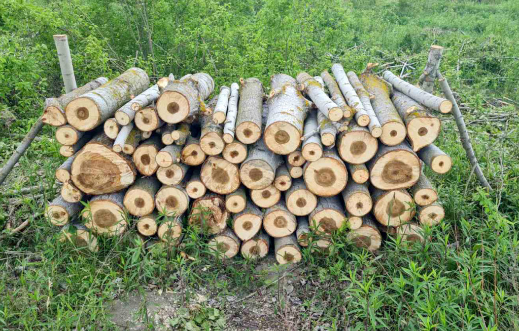 Meštani rudničkog sela Vojkovci zabrinuti: Kamioni pretovareni drvima uništavaju im nov asfalt koji su decenijama čekali