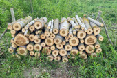 Meštani rudničkog sela Vojkovci zabrinuti: Kamioni pretovareni drvima uništavaju im nov asfalt koji su decenijama čekali