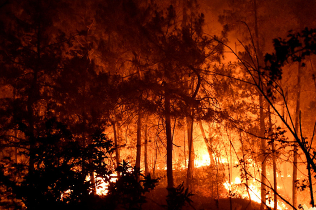 U požaru na jugu Francuske povređeno 13 vatrogasaca: Na dve lokacije izgorelo 880 hektara šume! (VIDEO)