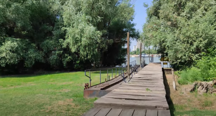 Amazon usred Beograda: Ako volite prirodu uživajte u pešačkim turama na velikom ratnom ostrvu