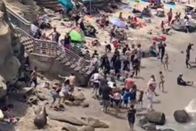 Prpa na plaži: Žena htela da snimi morskog lava - kupači se dali u beg vrišteći! (VIDEO)