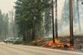 U požaru izgorelo preko 800 hektara zemlje: Posle četiri dana bitke, vatrogasci mogu da odahnu