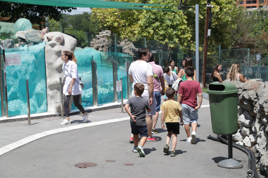Beo zoo-vrt slavi 88. rođendan! Ovo je priča o životinjskom carstvu smeštenom podno Kalamegdana (FOTO)