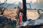 Spaljivao otpad, pa izazvao požar: Kod Šibenika uhapšen 73-godišnji muškarac