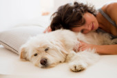 Ukoliko se još uvek dvoumite: Pet razloga da, već večeras, zaspite pored svog psa