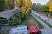 Veliki požar u Novom Sadu: Gore barake u blizini Štranda (FOTO/VIDEO)