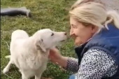 Dobre namere za dobro jutro: Pas ne zna da li da jede ili da se zahvali, a mi gledamo i plačemo (VIDEO)