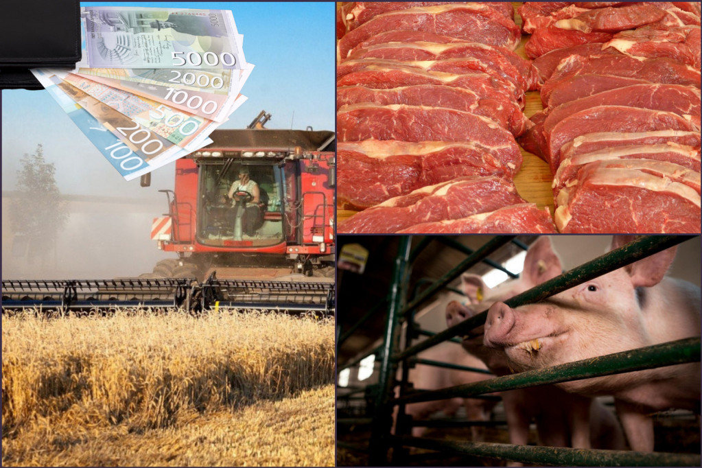 Ako ne želimo da jedemo GMO ozbiljno moramo da pomognemo svinjarstvo (FOTO/VIDEO)