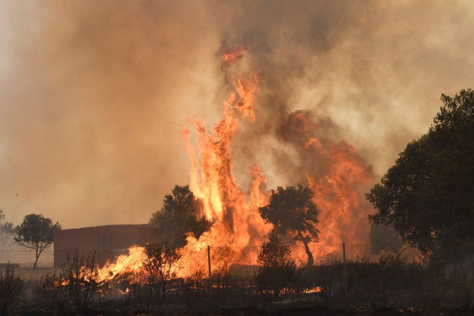 Požar u Subotici! Vatra zahvatilla voćnjak na vikendici i dva hektara šume, devet vozila gasi plamen