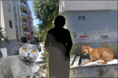 Starica otimala mačke i nosila kući da hrani pse: Nakon pet godina pakla na Karaburmi životinje oslobođene!  Evo šta kažu komšije!