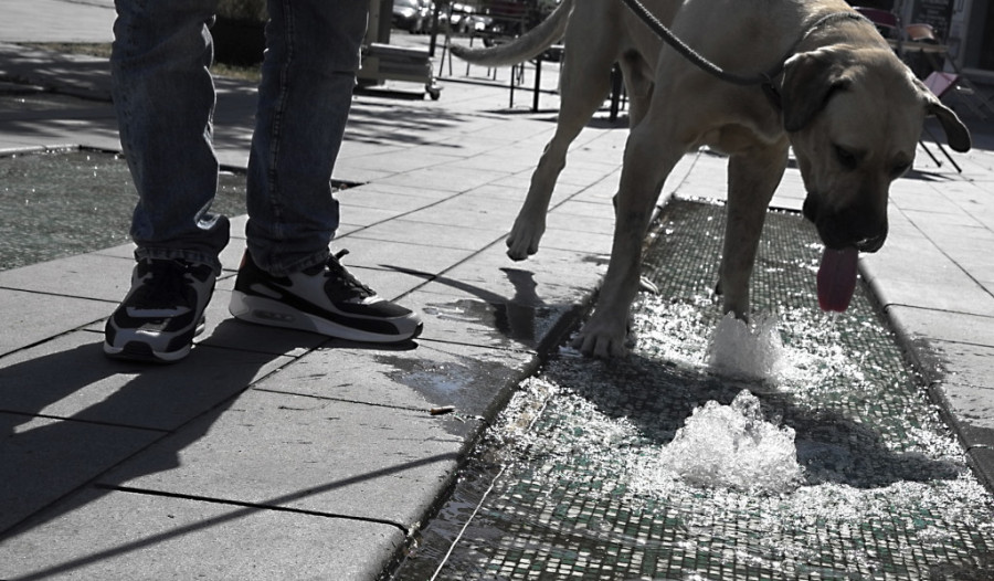 Panika zbog toplotnog talasa u Evropi: Zašto su temperature podivljale i kako se najpogođenije zemlje bore sa njima
