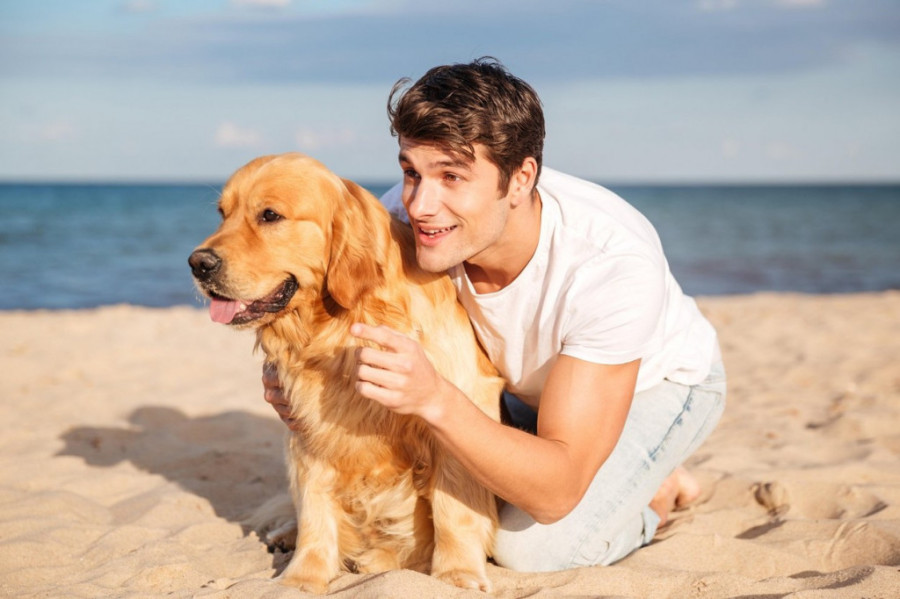 Šta vaš pas govori o vama: Izbor rase otkriva vaš stil života, vrednosti, ali i ličnost