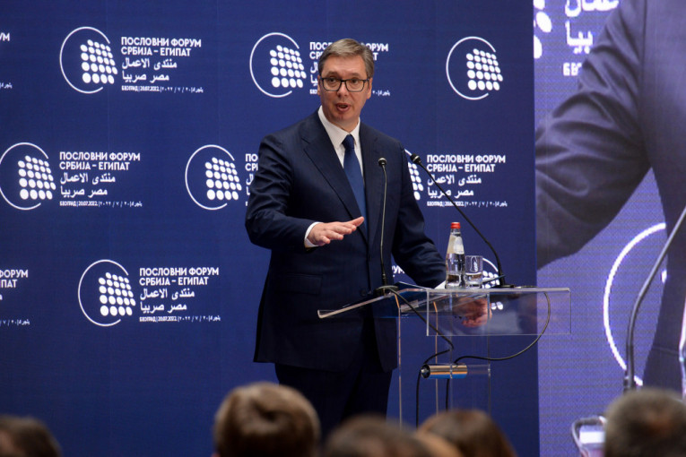 Vučić poručio egipatskim investitorima: "Dođite u Srbiju, dobrodošli ste"