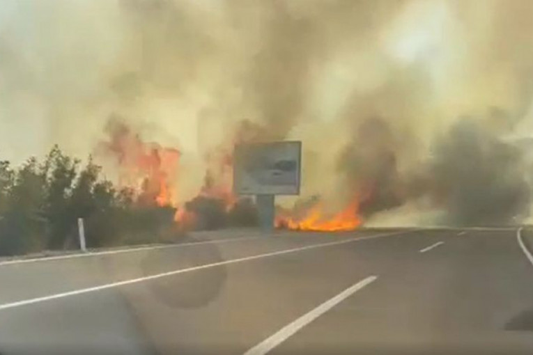 Požar u Crnoj Gori: Bukti kraj magistralnog puta Podgorica - Cetinje, vatrogasci na terenu (FOTO)