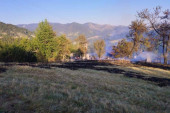Prve slike požara na Tari: Vatrogascima u pomoć priskočili i meštani, višesatna borba sa stihijom se isplatila (FOTO)
