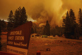 Vanredno stanje u Kaliforniji: Više od 400 vatrogasaca na terenu, ugrožen poznati nacionalni park (VIDEO)