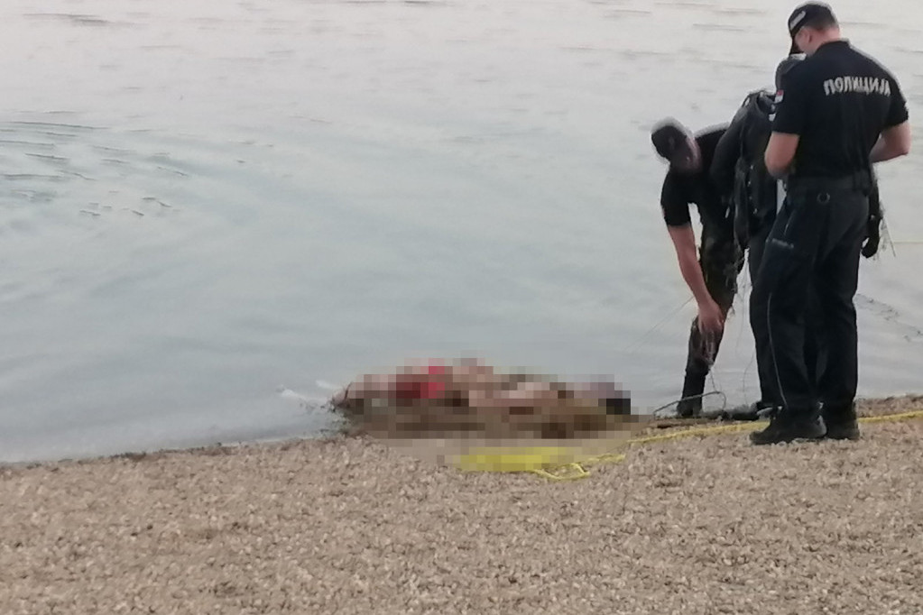 Užas u Bačkoj Topoli: Telo mladića pronađeno na jezeru! (FOTO)