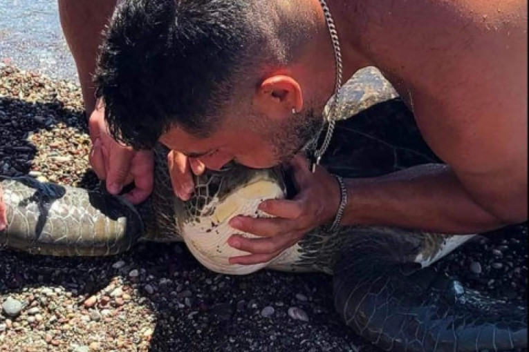 On je heroj sa Rodosa! Izbavio je kornjaču zapletenu u užad sa dna mora, pa je satima reanimirao dajući joj veštačko disanje (VIDEO)