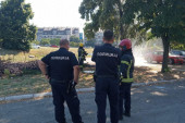 Požar na Novom Beogradu: Dim se nadvio u blizini auto-puta kod Sava centra! (FOTO)