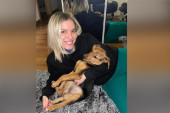 Đurđa nudi visoku novčanu nagradu onome ko pronađe njenog psa Mišku: Pola Srbije je traži, nestala pre devet dana (FOTO)
