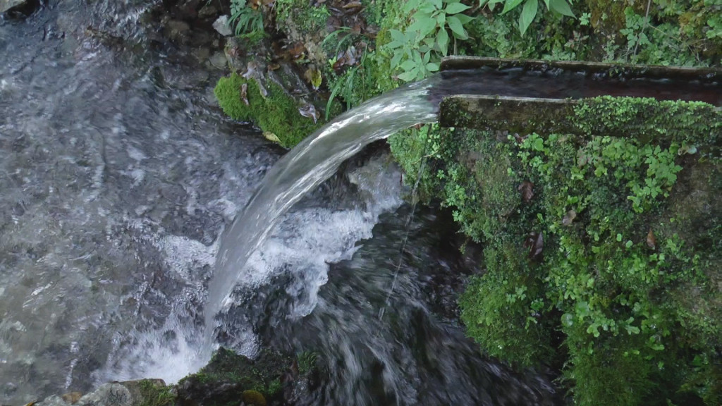 Izvor sakriven u šumi kod manastira Rača već vekovima posećuju ...
