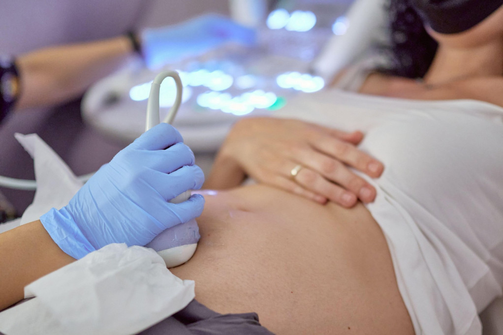 Još jedna lepa vest iz GAK  "Narodni front": Potvrđena prva trudnoća putem doniranih spermatozoida!