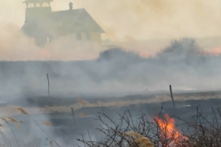 Gori specijalni rezervat prirode u Vojvodini! Vatrogasci i dobrovoljci se bore sa vatrenom stihijom
