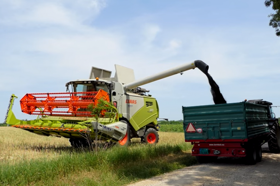 Neobičan, ali dobar mali biznis: Ni manje biljke, ni veći keš (FOTO)