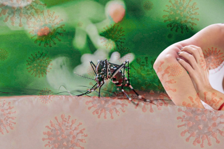 Haraju komarci čiji ujed stvara alergiju! Koža pocrveni i pojavi se osip, a stručnjaci otkrivaju šta nikako da ne radite (FOTO)