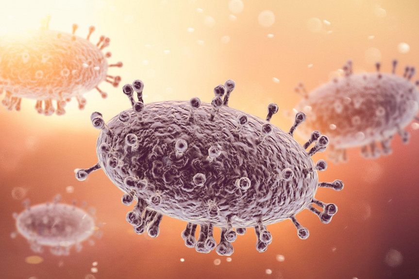 Batut o opasnom Mpoks virusu: Simptomi mogu nestati sami od sebe, nadzor je na snazi