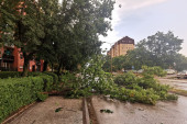 Oluja nosila sve pred sobom, potop na ulicama:  Stoletno drvo iščupano iz korena i blokiralo saobraćajnicu