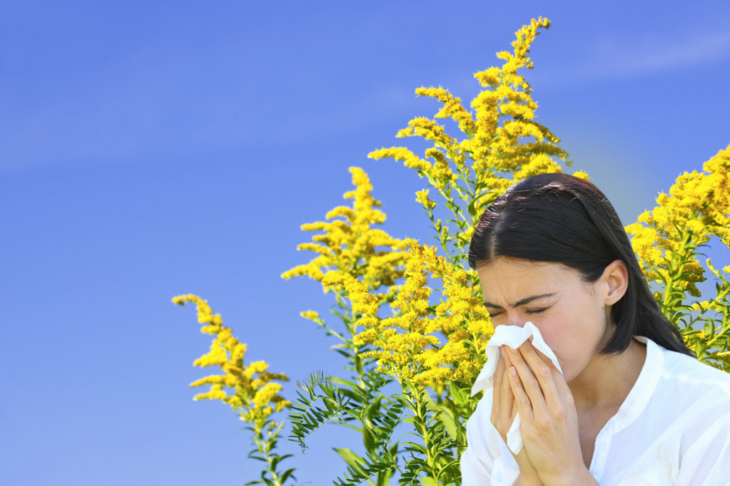 Sezona prolećnih alergija: Suze, kijanje, kašalj, crvenilo očiju, kako sprečiti i lečiti