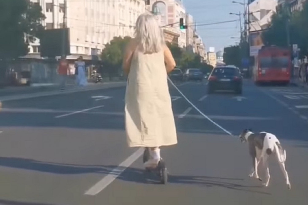 "Ovaj narod je potpuno poludeo": Žena nasred Terazija vozi trotinet i šeta psa na povocu! (VIDEO)