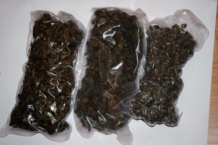 Hapšenje u Leskovcu: Ispod kreveta krio dva kilograma marihuane i pištolj
