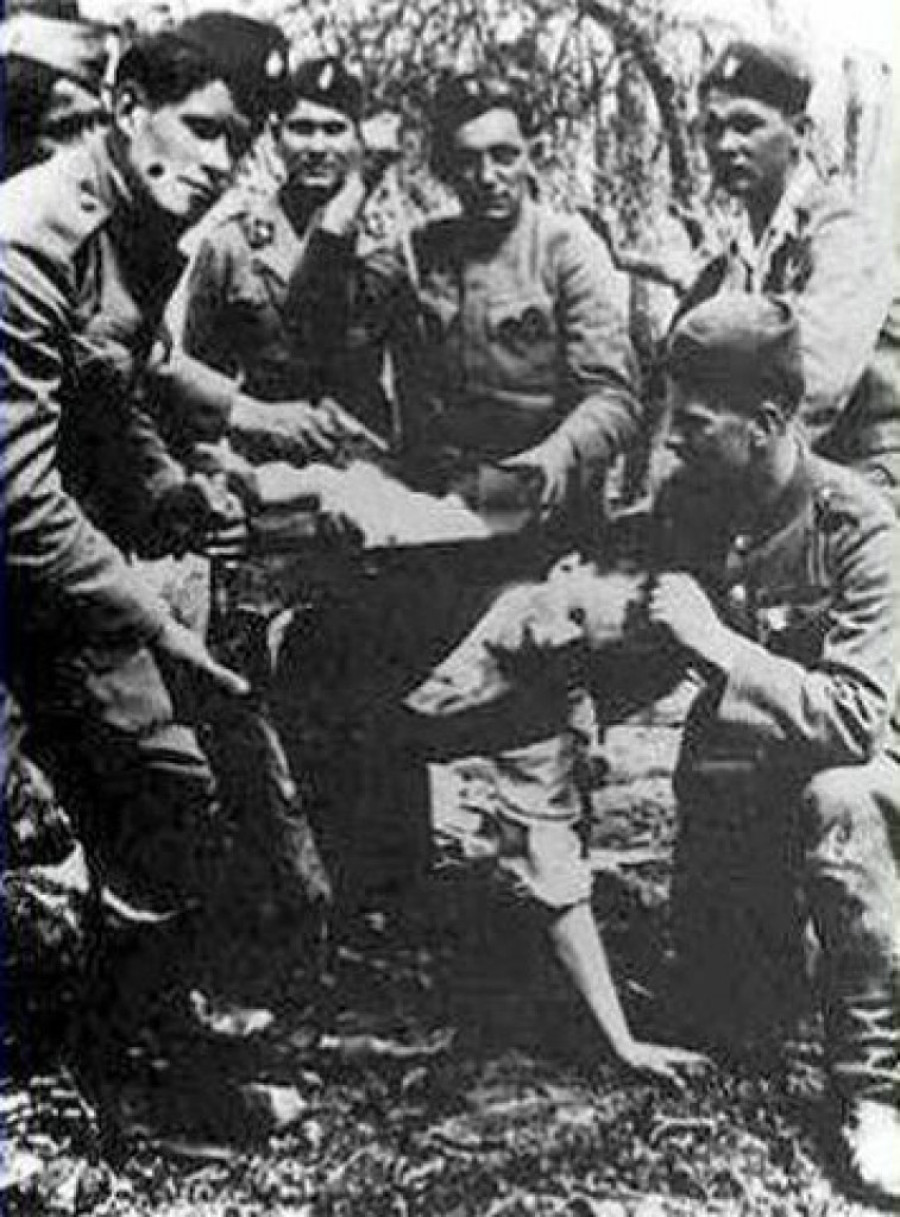 Etnički očistili državu a sada nestaju: Broj Srba u Hrvatskoj u poslednjih 100 godina pao za 84 odsto, Hrvata neće biti za manje od dva veka