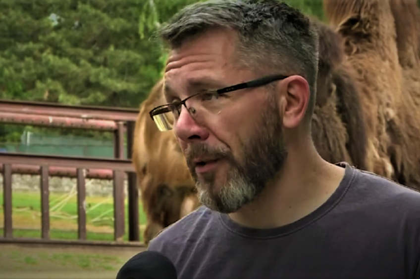 Beogradski zoo vrt traži kuma za preslatku bebu: Evo kako možete da predložite ime za mali "vuneni oblak"