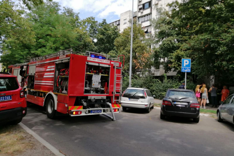 24sedam na mestu požara na Novom Beogradu:  Baka preminula, izneta bez svesti! Evakuisana cela zgrada (FOTO/VIDEO)