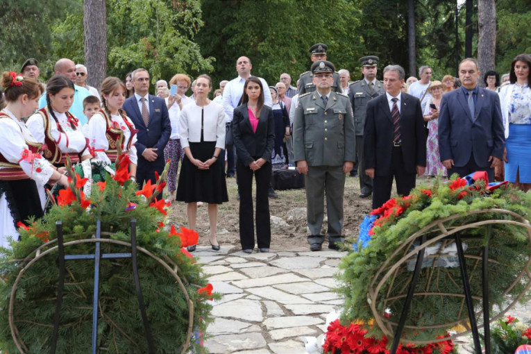 Obeležena godišnjica smrti velikog prijatelja srpskog naroda! Vidović položila venac na spomenik Arčibaldu Rajsu (FOTO)