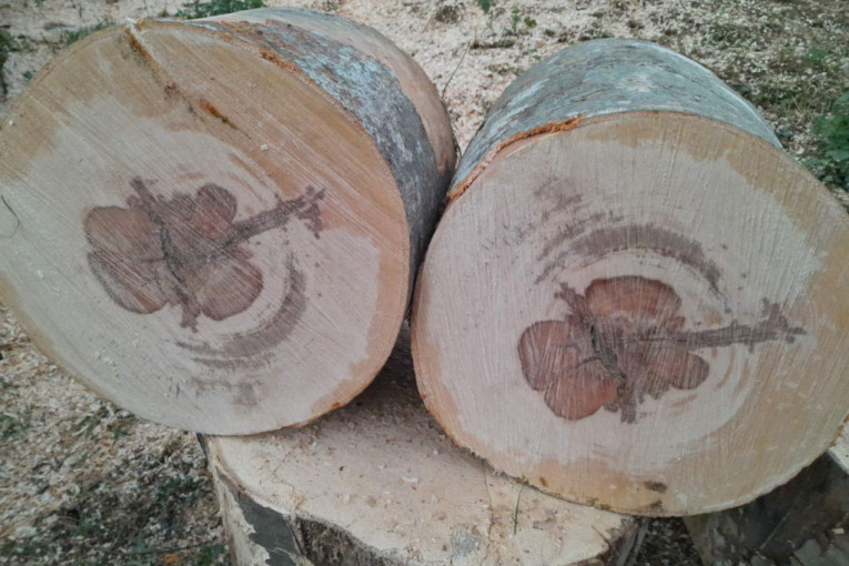Iznenađeno smo zagledali trupac i krstili se: Ćirovićima se ukazao neviđen znak u drvetu (FOTO)