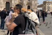 Jedan par nikuda ne ide bez svoje tri mačke, koje obožavaju da istražuju. Posebno im se sviđa Pariz (FOTO/VIDEO)