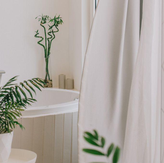 Pet „srećnih“ sobnih biljaka koje unose pozitivnu energiju na početku godine: Poklonite ih nekome ili sebi za sjajan start