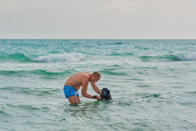 Kazna za psa na plaži čak 150 evra: U nekim državama pravila su baš rigorozna, ali ima i onih koje tolerišu ljubimce na kupalištima