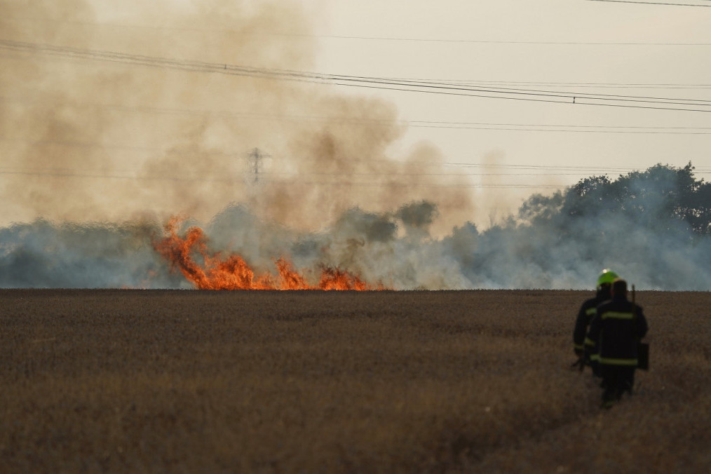 Požar kod Čente: Vatrena stihija zahvatila nisko rastinje (VIDEO)